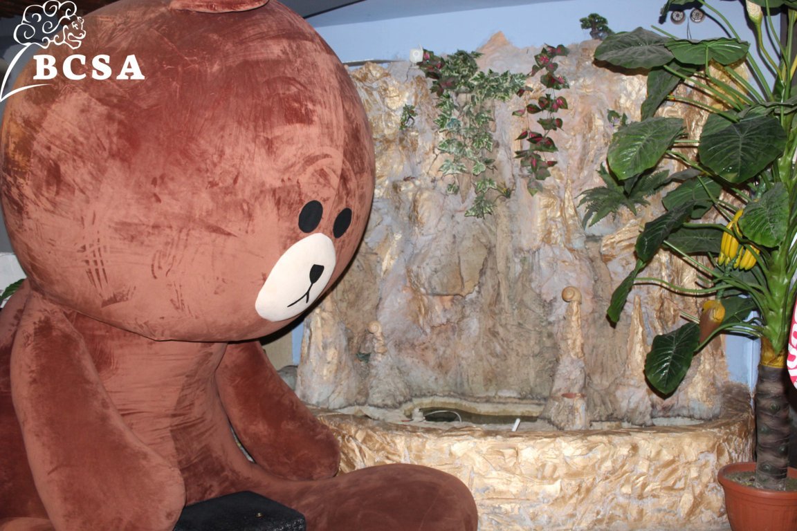 Bocconi Chinese Student Association