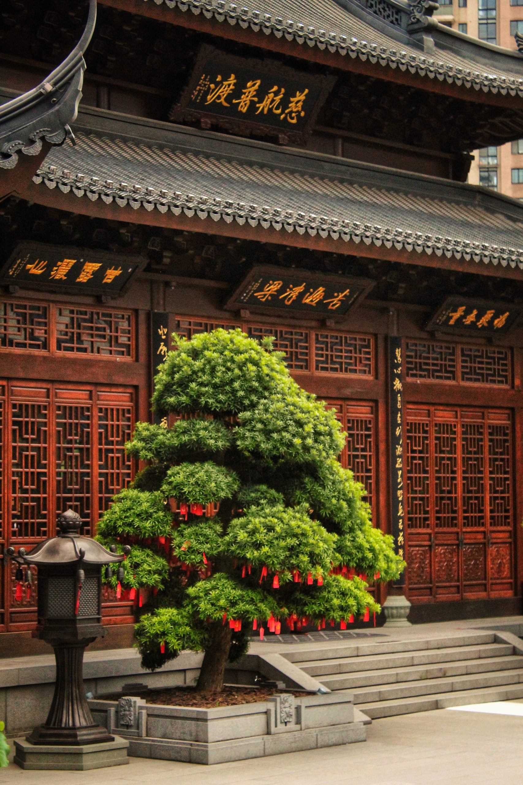 Bocconi Chinese Student Association